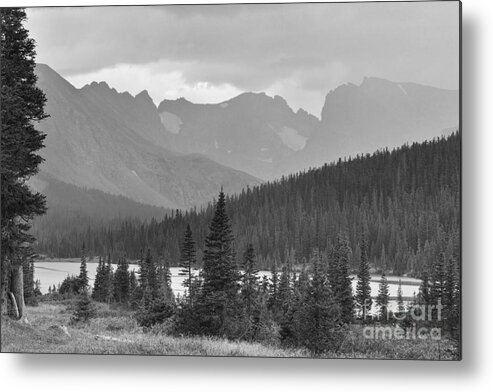 Colorado Metal Print featuring the photograph Scenic View Indian Peaks Brainard Lake Boulder County CO BW by James BO Insogna