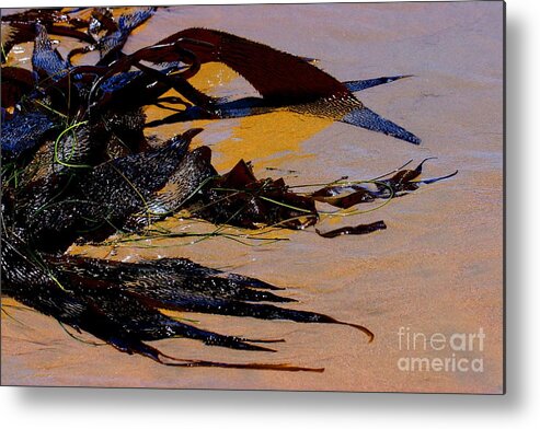 Sea Metal Print featuring the photograph Pismo Beach Sea Drift by Tap On Photo