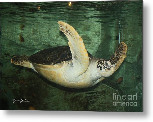 Tuttle Metal Print featuring the photograph Sea Tuttle by Yumi Johnson