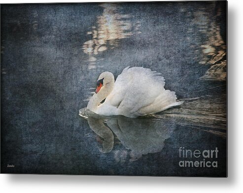 Swan Metal Print featuring the photograph Seeing off the Day by Eena Bo