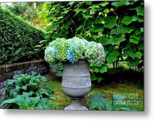 Hydrangea Metal Print featuring the photograph September Hydrangea by Tatyana Searcy