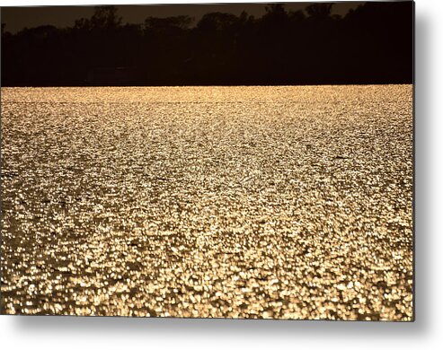 Sunderbans Metal Print featuring the photograph Shimmering Waters at Sunset by Fotosas Photography
