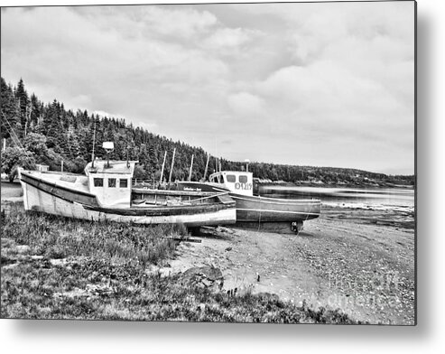 New Brunswick Metal Print featuring the photograph Shored Up by Traci Cottingham