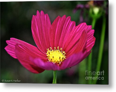 Outdoors Metal Print featuring the photograph Simple by Susan Herber