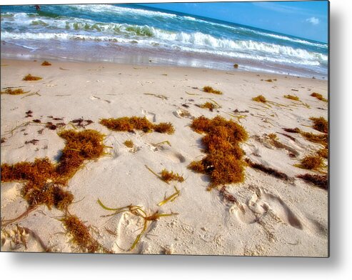 Beach Metal Print featuring the photograph Sitting on the beach by Toni Hopper