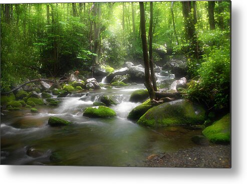 Blur Metal Print featuring the photograph Smoky Mountain Stream by Cindy Haggerty