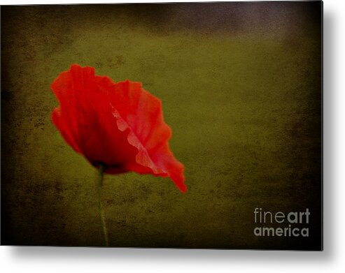 Poppies Metal Print featuring the photograph Solitary Poppy. by Clare Bambers