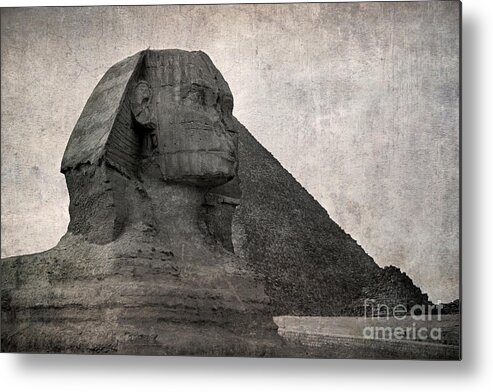 Africa Metal Print featuring the photograph Sphinx vintage photo by Jane Rix