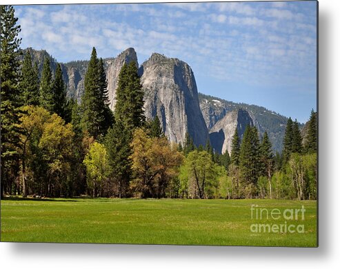 Yosemite Metal Print featuring the photograph Spring Meadow by Johanne Peale