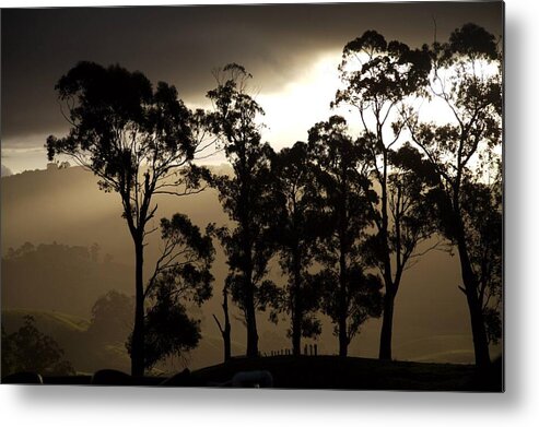 Sunset Metal Print featuring the photograph Stark by Lee Stickels