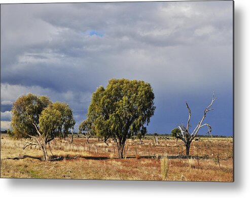 Landscape Metal Print featuring the photograph Storm Brewing by Terry Everson