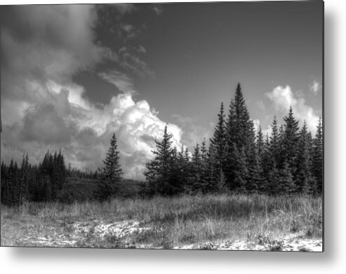 Monocrome Metal Print featuring the photograph Storm Clouds Building by Michele Cornelius