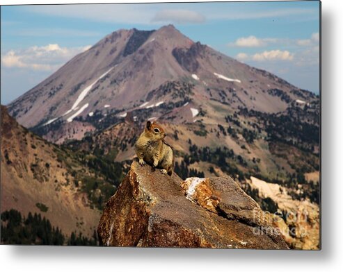 Lassen Volcanic National Park Metal Print featuring the photograph Strike A Pose by Adam Jewell