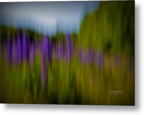 Lupines Metal Print featuring the photograph Summer Colors In Maine by Greg DeBeck
