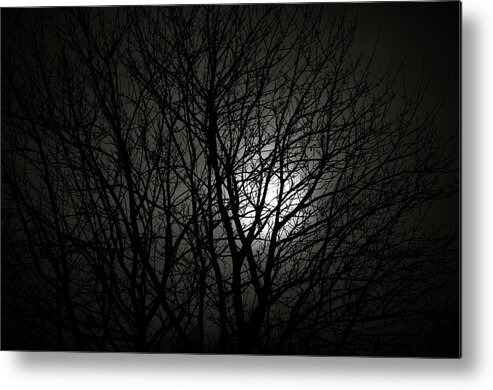 Silhouette Metal Print featuring the photograph Sunny Moon II by Lenny Carter