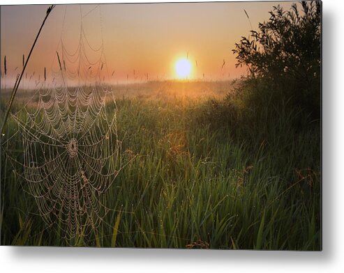 Breakable Metal Print featuring the photograph Sunrise On A Dew-covered Cattle Pasture by Dan Jurak