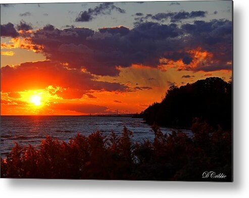 Sunset Metal Print featuring the photograph Sunset by the Beach by Davandra Cribbie