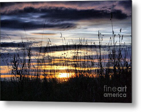 Sunset Metal Print featuring the photograph Sunset Grasses by Sandra Cockayne ADPS