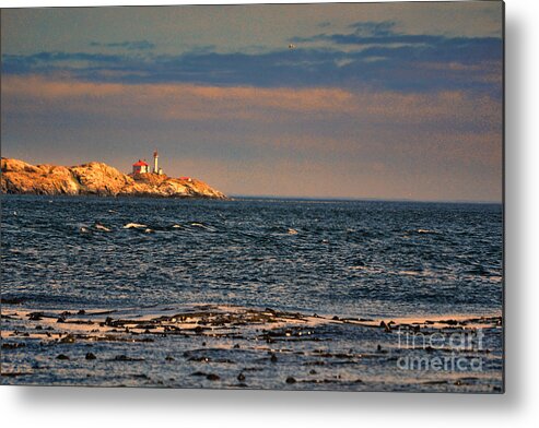 Victoria Metal Print featuring the photograph Sunset over British Columbia by Traci Cottingham