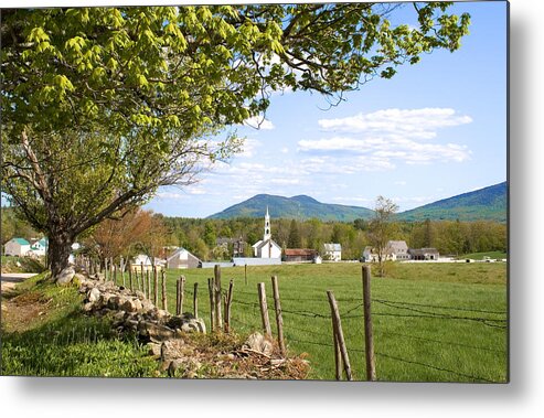 4 Seasons Metal Print featuring the photograph Tamworth Trees Summer by Larry Landolfi