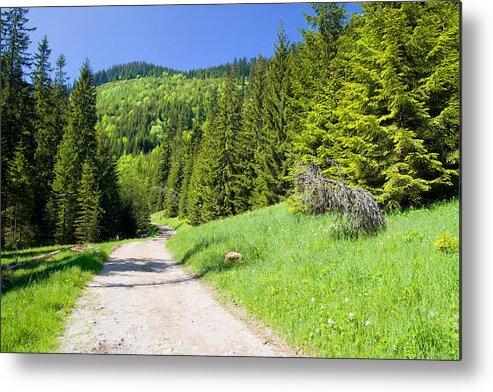 Beauty Metal Print featuring the photograph Tatra Mountains in Poland by Artur Bogacki