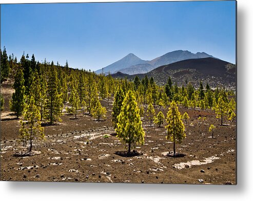 Volcano Metal Print featuring the photograph Technicolor Teide by Justin Albrecht