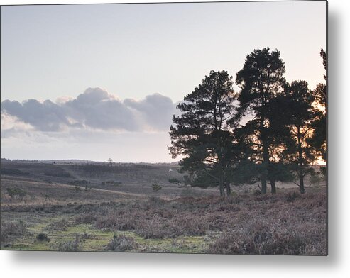 Horizontal Metal Print featuring the photograph The Heathland Of The New Forest At Sunset by Julian Elliott Ethereal Light