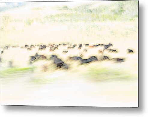 Abstract Metal Print featuring the photograph The Herd by Margaret Pitcher