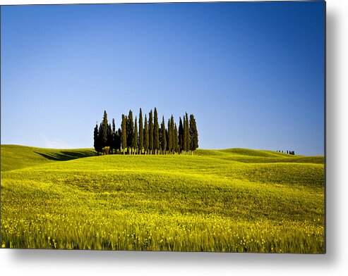 Toscana Metal Print featuring the photograph The Island by Stefano Termanini