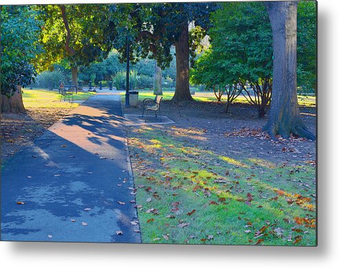 Park Metal Print featuring the photograph The Park by Toshihide Takekoshi