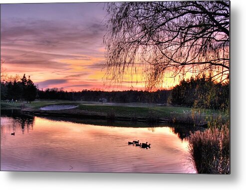 Pond Metal Print featuring the photograph The Pond by John Loreaux