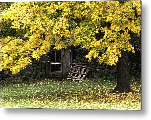 Ajnphotography Metal Print featuring the photograph The Root Cellar by Alan Norsworthy