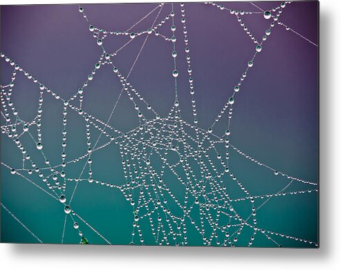Abstract Metal Print featuring the photograph The Web by Joye Ardyn Durham