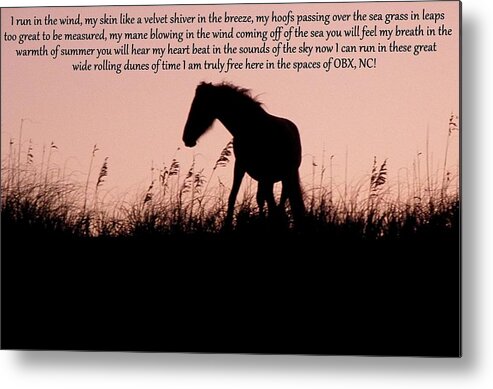 Wild Metal Print featuring the photograph The words of a Wild Filly by Kim Galluzzo