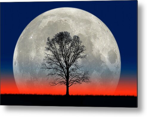 Science Metal Print featuring the photograph Titanic Moon and Tree by Larry Landolfi