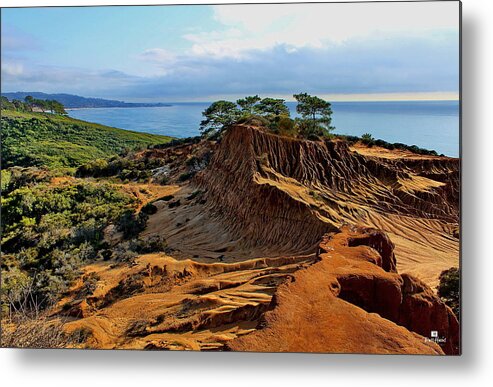Torrey Pine State Reserve Metal Print featuring the photograph Torrey Vista by Russ Harris