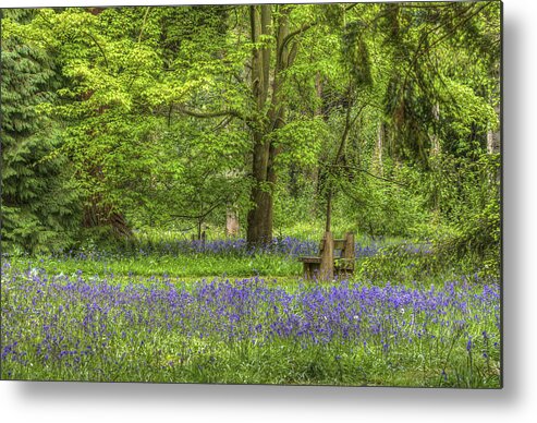 Bambers Metal Print featuring the photograph Tranquility by Clare Bambers