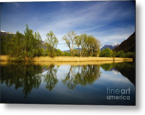 Tree Metal Print featuring the photograph Trees reflections on the lake by Mats Silvan