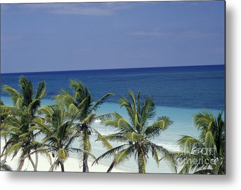 Mexico Metal Print featuring the photograph TROPICAL PARADISE Sian Kaan Mexico by John Mitchell