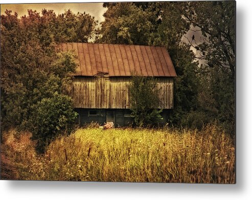 Barn Metal Print featuring the photograph Tucked Away by Mary Timman