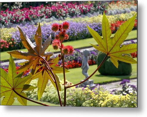 Kg Metal Print featuring the photograph Tudor Garden by KG Thienemann