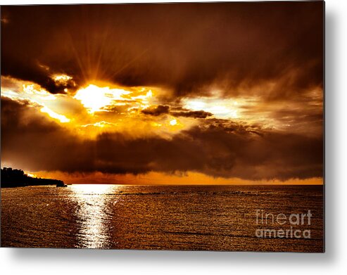 Landscape Metal Print featuring the photograph Vibrancy by Jason Naudi Photography