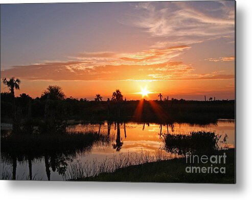 Viera Sunset Metal Print featuring the photograph Viera Wetlands Sunset by Jennifer Zelik