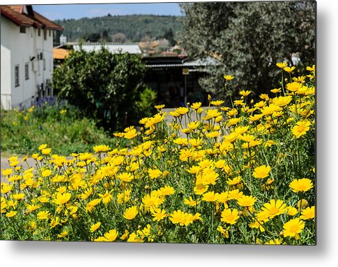 Background Metal Print featuring the photograph Village House and wildflowers by Michael Goyberg