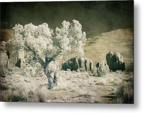 Vintage Metal Print featuring the photograph Vintage Monument Valley Desert by Mike Irwin