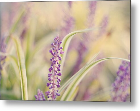 Soft Purple Flower Photography Metal Print featuring the photograph Voices Carry by Amy Tyler