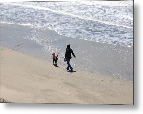 California Metal Print featuring the photograph Walking The Dog by Carolyn Donnell