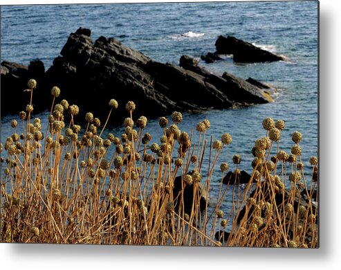 Blue Metal Print featuring the photograph Watching The Sea 1 by Pedro Cardona Llambias