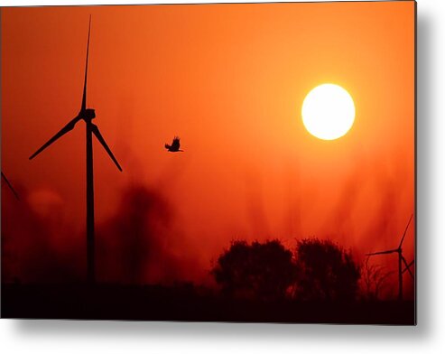 Landscape Metal Print featuring the photograph Watching the Sunrise by Elizabeth Budd
