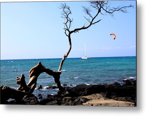 kite Boarding Metal Print featuring the photograph Water Sports in Hawaii by Karen Nicholson